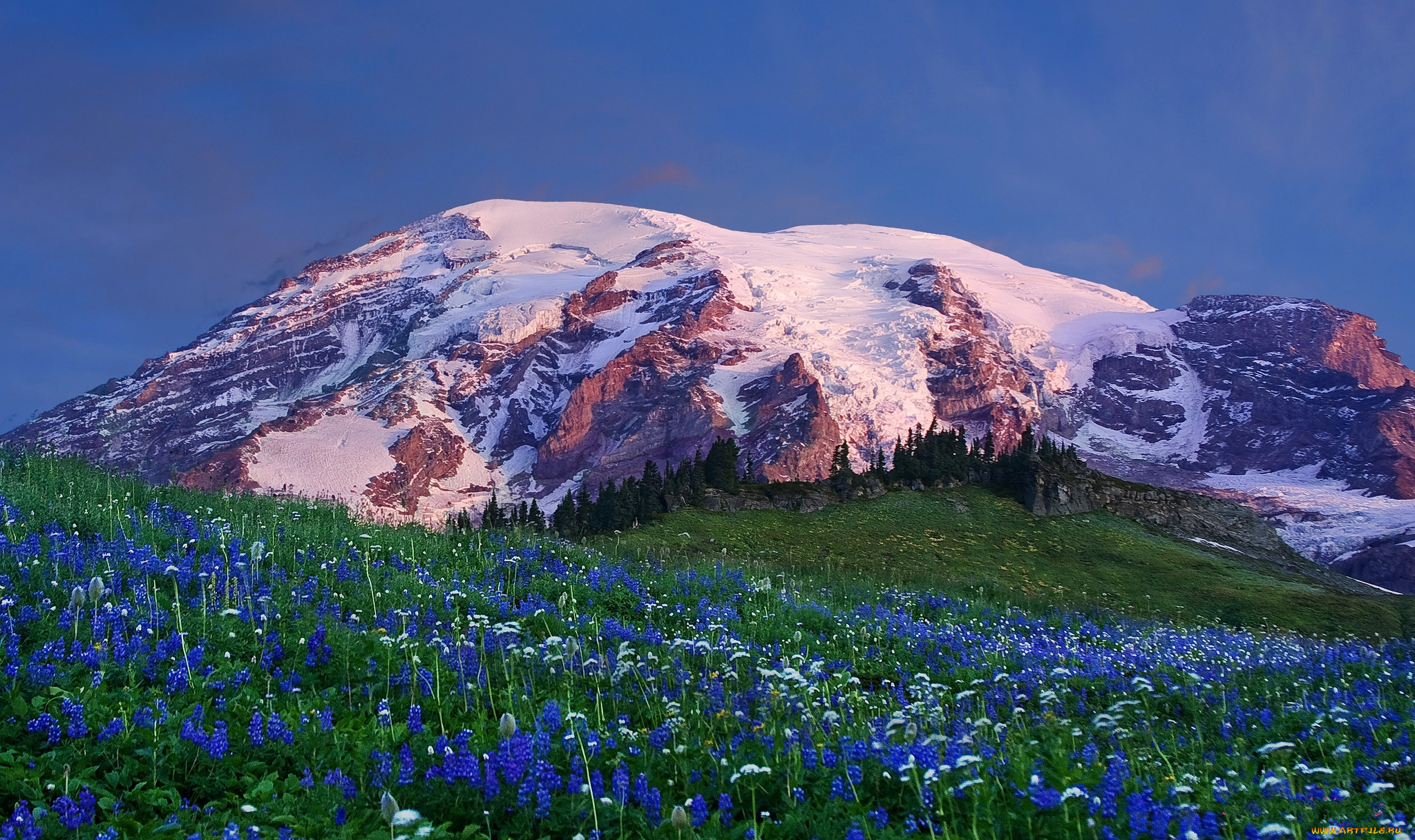 , , , , , , mount rainier national park,   -